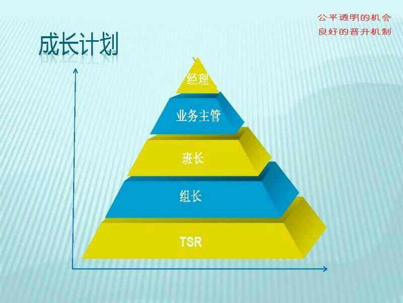 人员晋升机制(人员晋升机制有管理岗和技术岗)