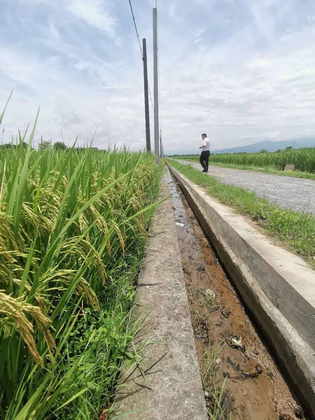 高标准农田建设造价多少钱一亩(高标准农田建设造价多少钱一亩铁岭)