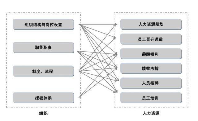 人力资源的管理体系(人力资源管理体系的基础是)