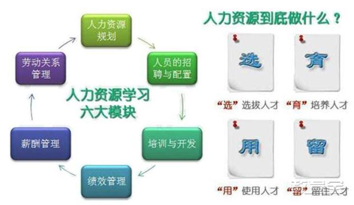 现代化人力资源管理理念(现代化人力资源管理理念是什么)