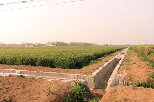 高标准农田建设质量(高标准农田建设质量竣工验收规范)