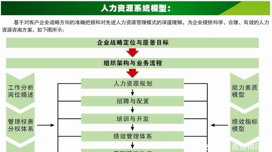 人力资源管理要学什么(人力资源管理要学什么课程)