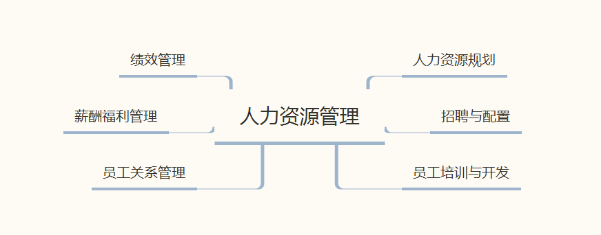 人力资源管理级别(人力资源管理师四级)