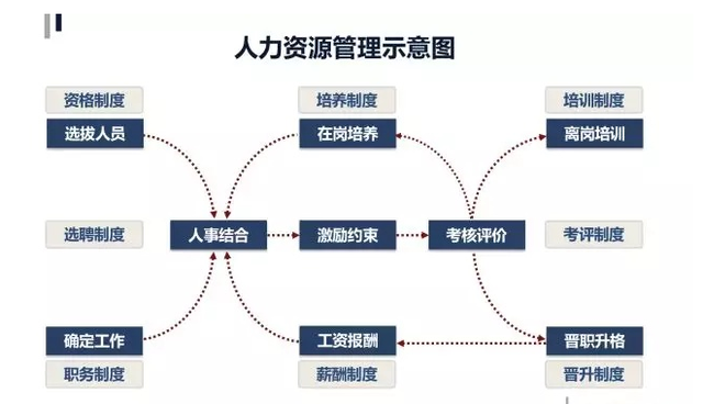 人力资源管理的功能中(人力资源管理的功能中是基础维持是是核心是手段)