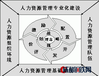 人力资源管理的七大职能(人力资源管理的六个基本功能)