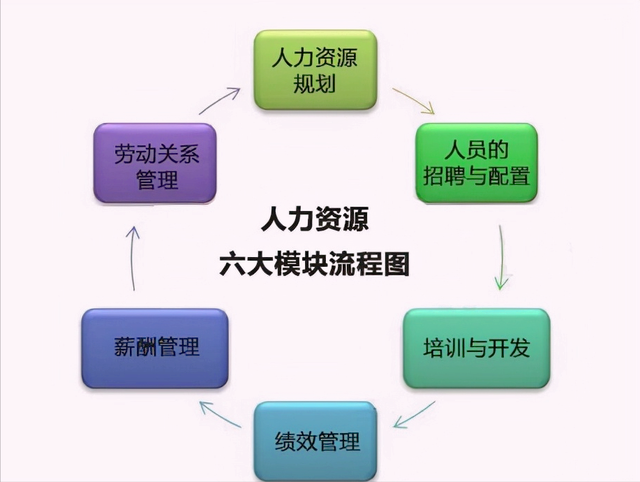 人力资源管理目标(人力资源管理目标职业)