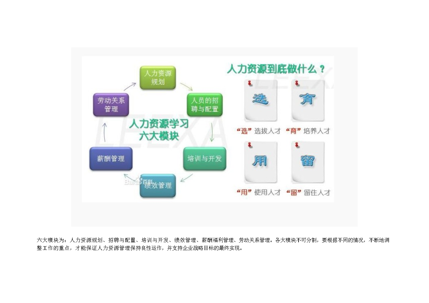 人力资源管理宗旨有哪些(人力资源管理宗旨有哪些内容)