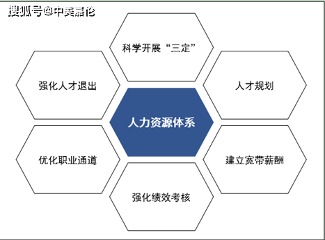 公司的人力资源管理体系(公司人力资源管理体系介绍)