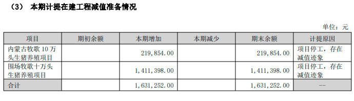 在建工程减值(在建工程减值准备在哪里看)