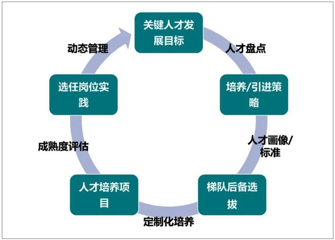 人力资源管理的主要目标(人力资源管理的主要目标有哪些)