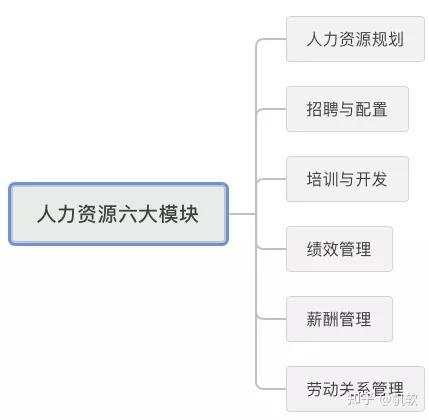 从事人力资源管理的怎么样(人力资源管理出来做什么工作)