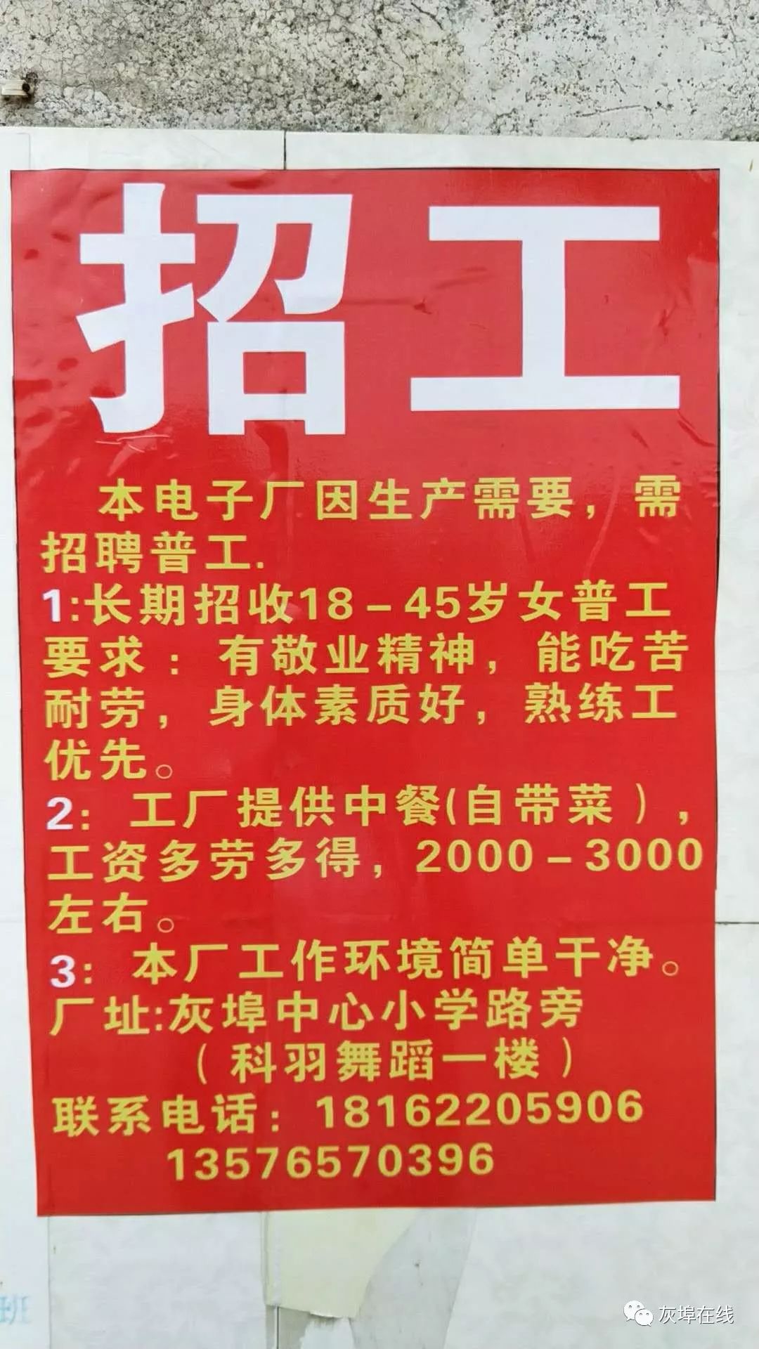 东方在线八所镇招工信息(东方八所招聘网官网)