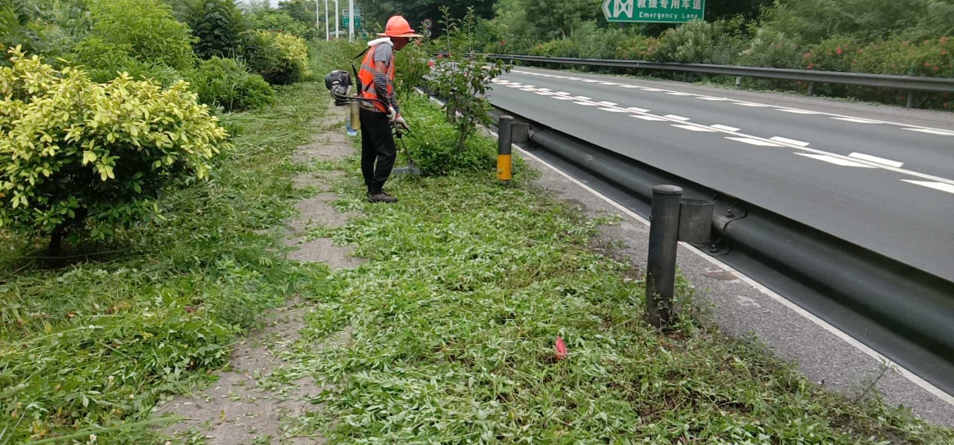 北京招聘园林绿化工人信息(北京园林绿化工程有限公司招聘)