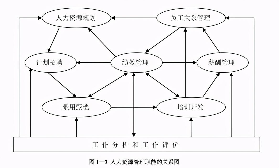 人力资源管理的主要内容(景区人力资源管理的主要内容)