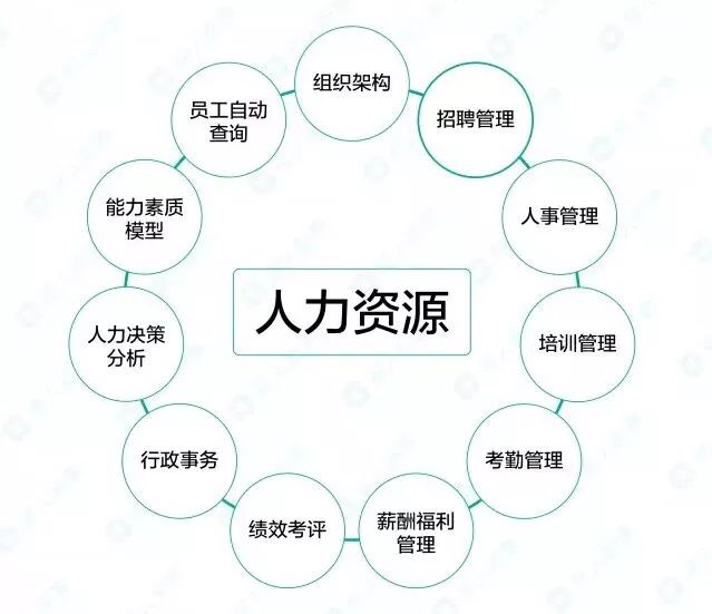 人力资源管理是干什么的(人力资源管理是干什么的到什么地方就业)