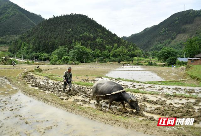 湖南江永在建最大工程(湖南省永州市江永县规划图)